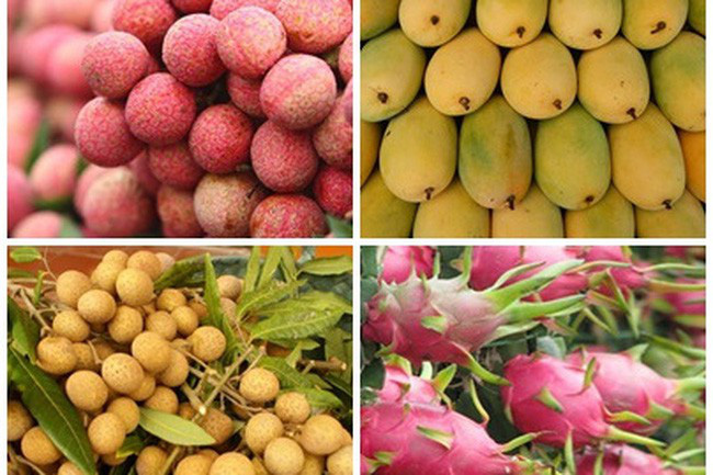 Những trái cây Việt đã được xuất khẩu vào Mỹ